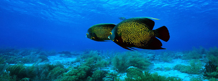 亚龙湾热带天堂公园、南山、分界